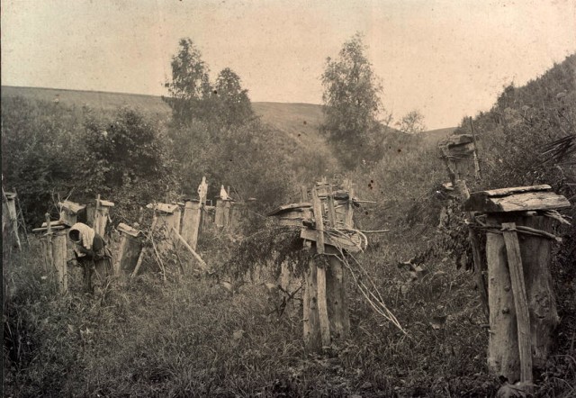 Сибирские казаки на службе и дома. Альбом 1911 года