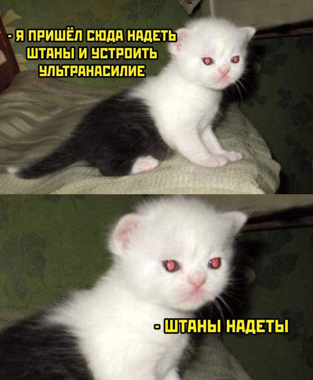 Нуштош 16.02.2023