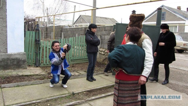 Крым в феврале или "Не стреляйте в белых лебедей!"