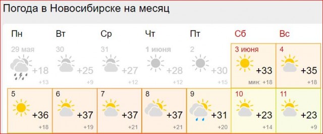 Победная поступь идиотизма по планете – том 16