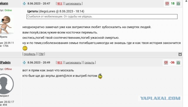 Растерзанным акулой в Хургаде оказался 23-летний Владимир Попов из Архангельской области