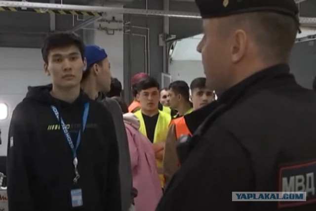 Более 50 мигрантов без документов обнаружили на складах Ozon.