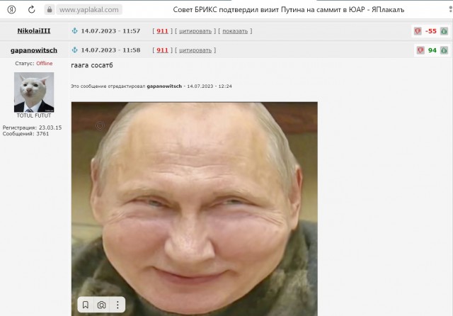 Владимир Путин не поедет в ЮАР на саммит БРИКС, сообщила администрация южноафриканского президента