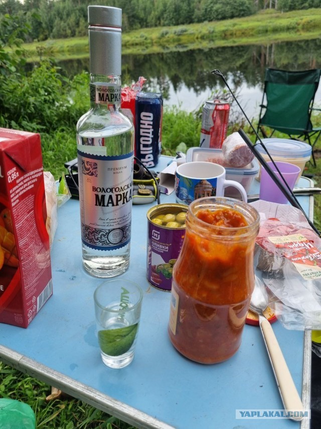 Рыбалка на Мологе
