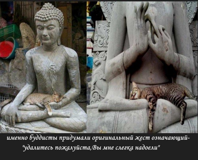 Разножанровые картинки. Без определённого смысла
