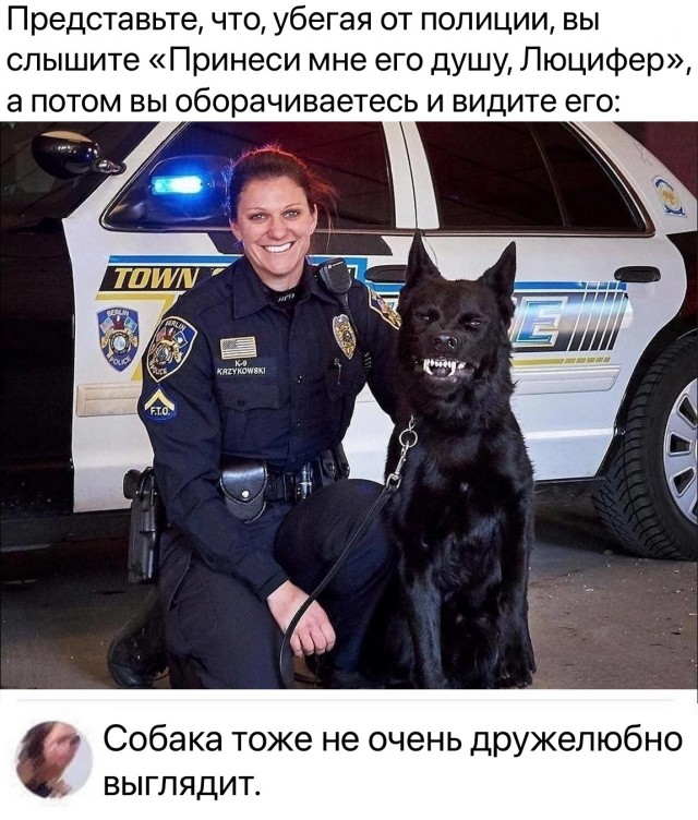 Так себе картинки 26.04.24