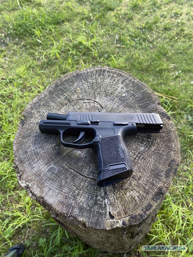 Sig Sauer P365