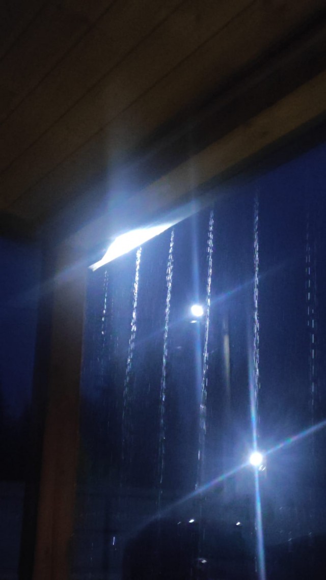 Конкурс «Космические грибы». Читаем рассказы и стихи