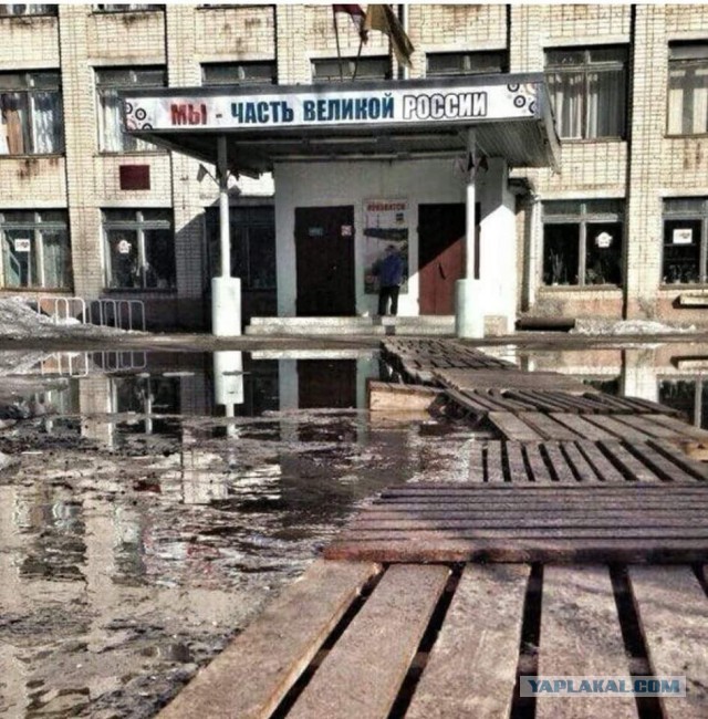 Летит значит Медведь, никому не мешает