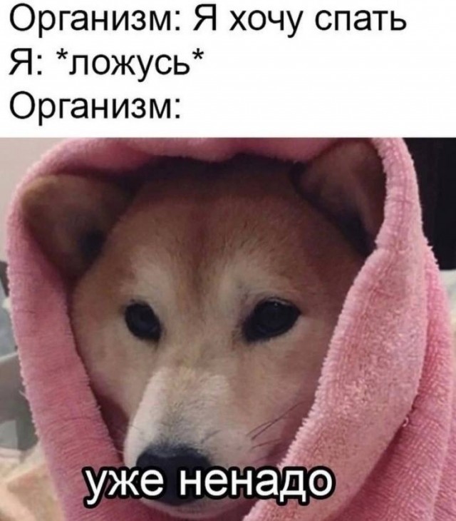 Немного забавных картинок от 23.10.2024