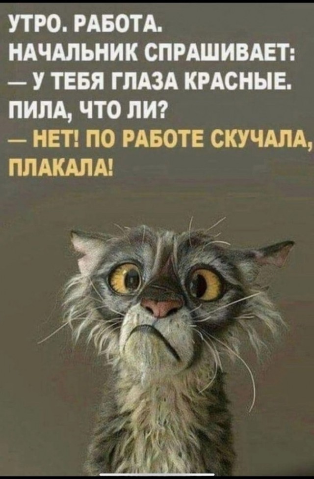 Так себе картинки 25.11.24