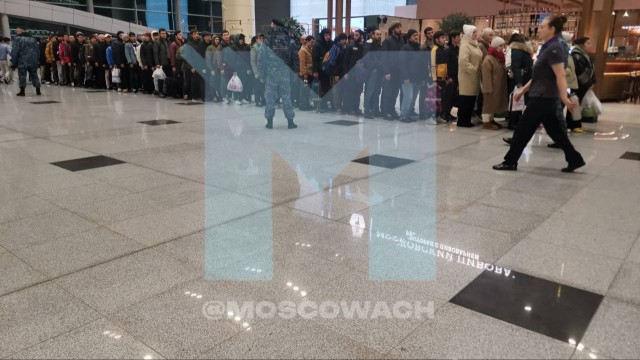 В Домодедово предновогодняя депортация мигрантов