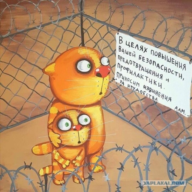 Стоимость 1 ГБ мобильных данных по всему миру