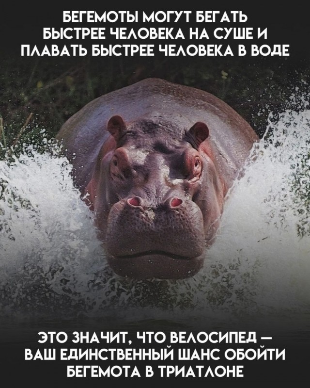 Так себе картинки 14.02.25