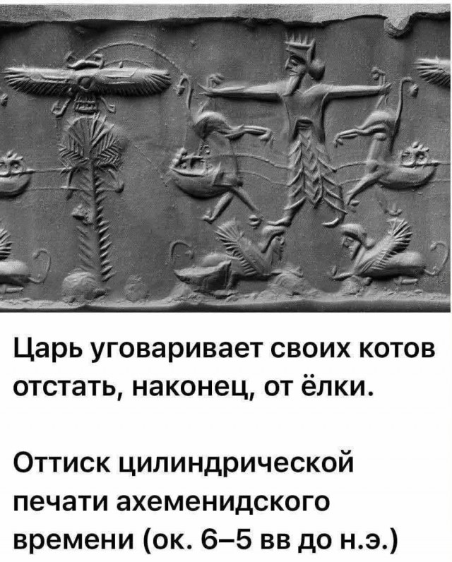 Так себе картинки 19.08.25