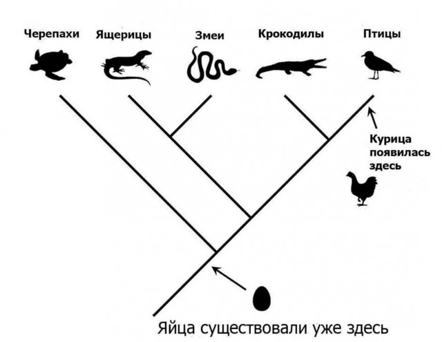 Что было раньше