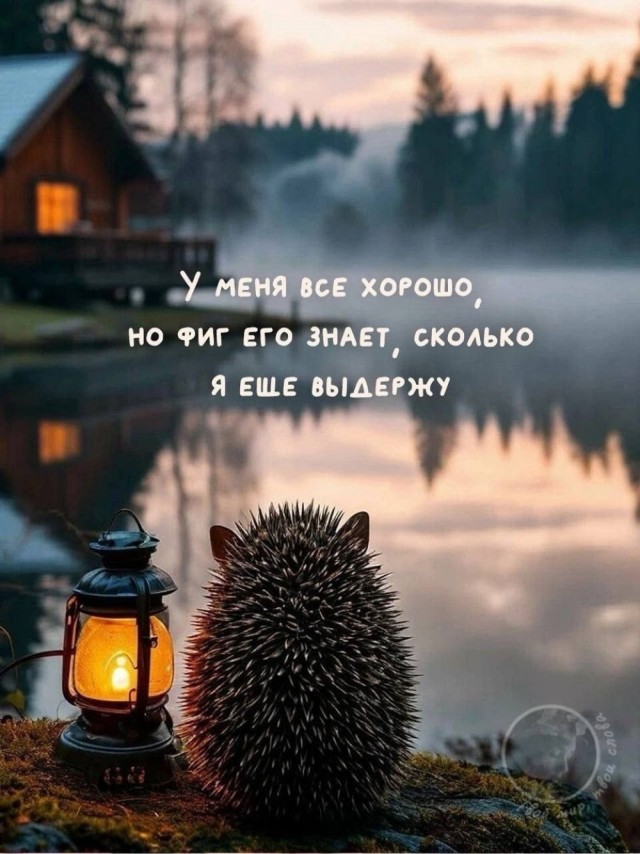 Прикольные и просто красивые картинки 10.10.2025