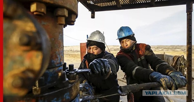 А надо ли идти в нефтяники?