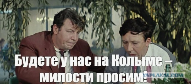 У россиян новый тренд — отмечать день рождения по номеру региона