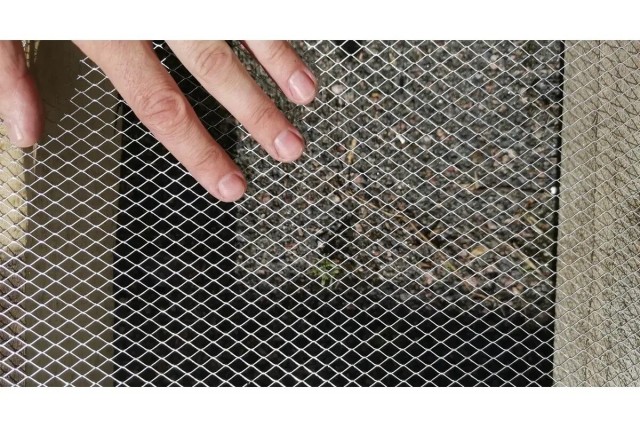 Яйцекрады - миф или реальность.