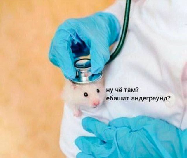 Картинки для деградации 200 (разной степени свежести)