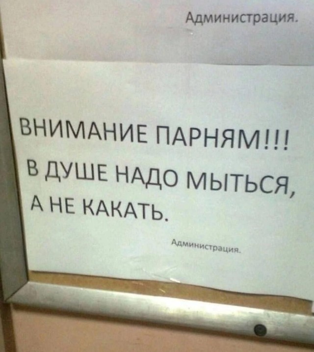 Картинки для деградации 204 (разной степени свежести)