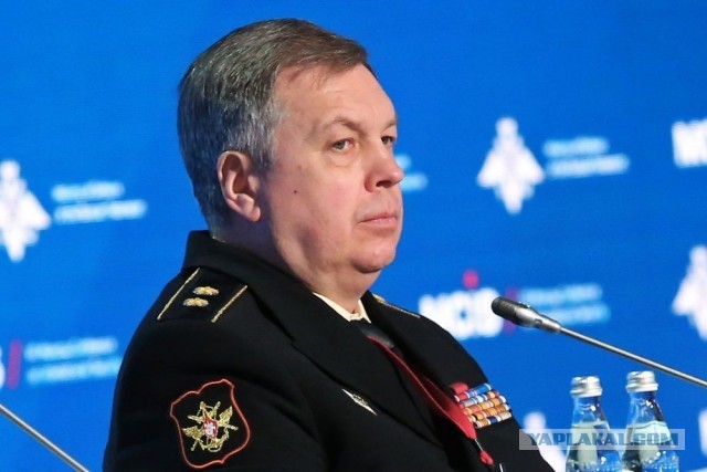 Бобр украл у поляка трусы