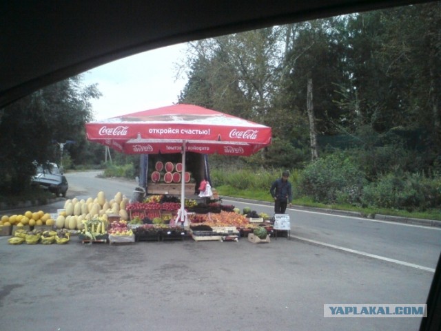 Начни с себя! Начинаю....