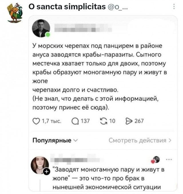 Картинки из Х(twitter)