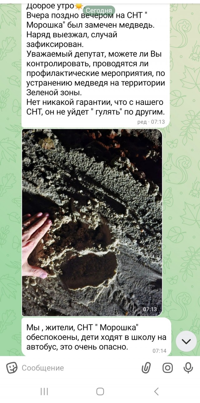 Зоошиза добралась до мишек