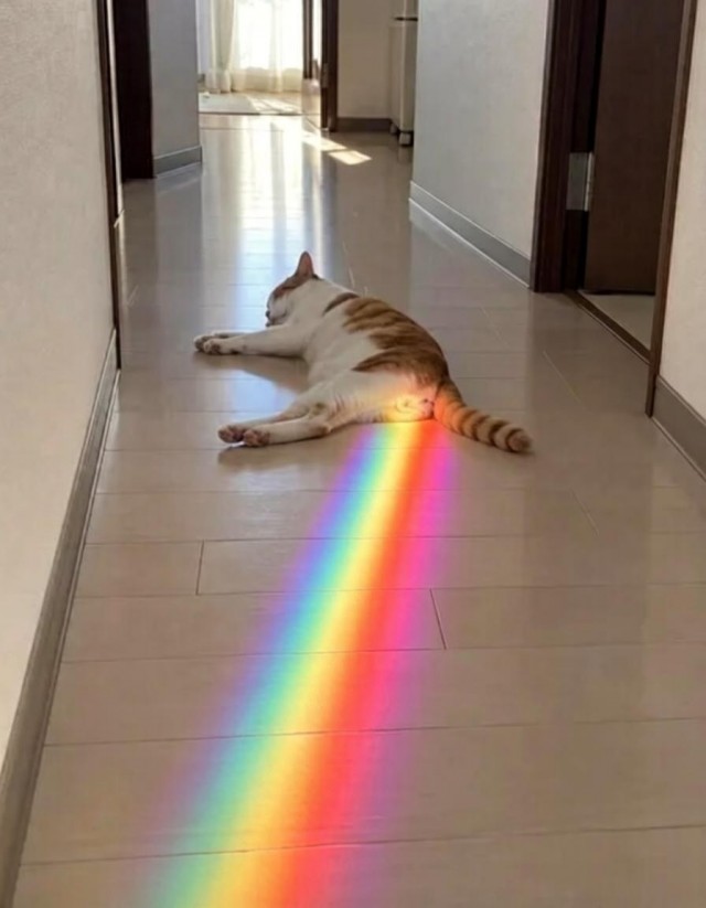 Придумай название для фотографии...