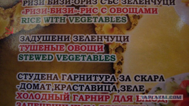 Отдых в Болгарии с ребенком