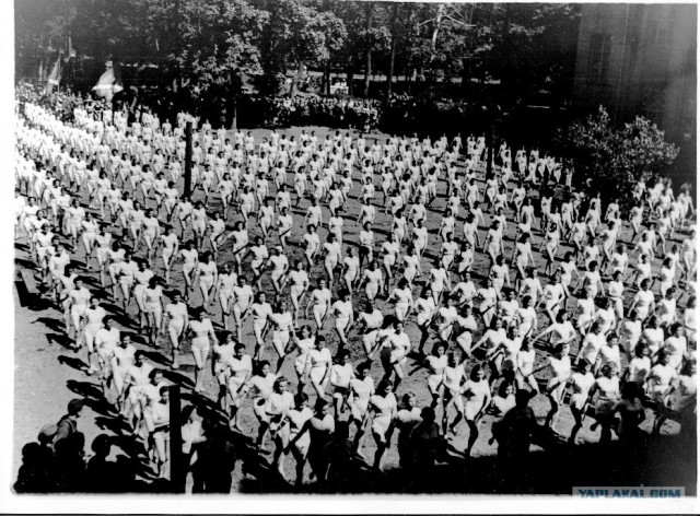 Блокадный Ленинград 1943 год