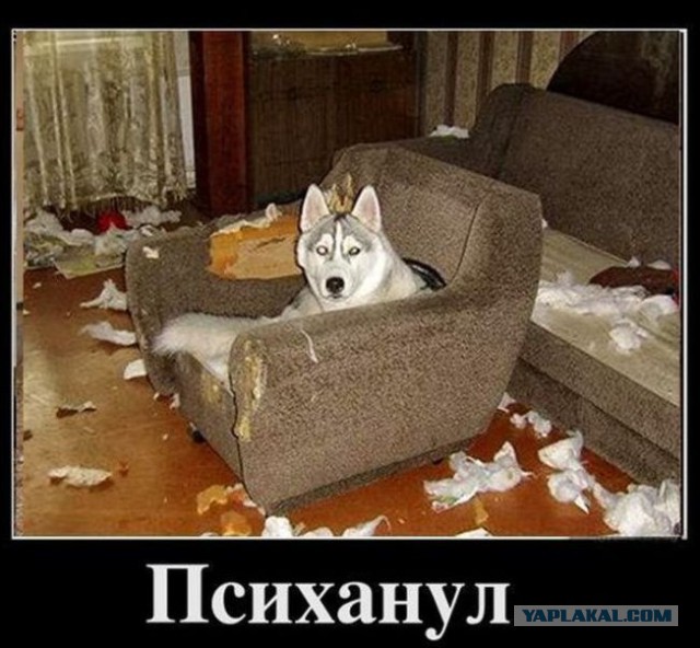 Желаю познакомиться!