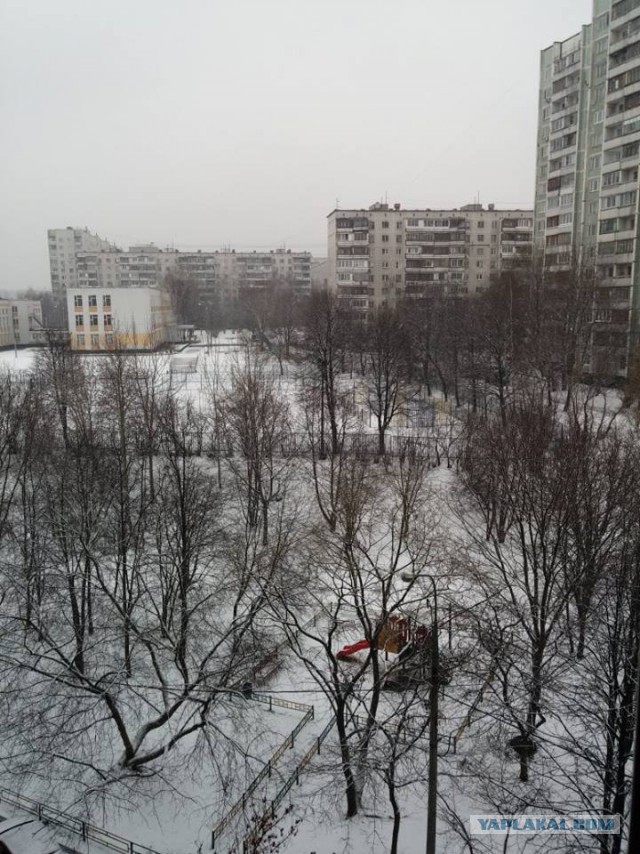 Мой вид из окна.