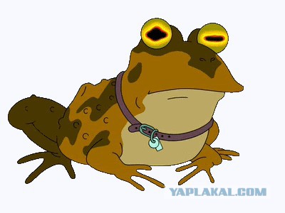 Первый Quake  на осциллографе.