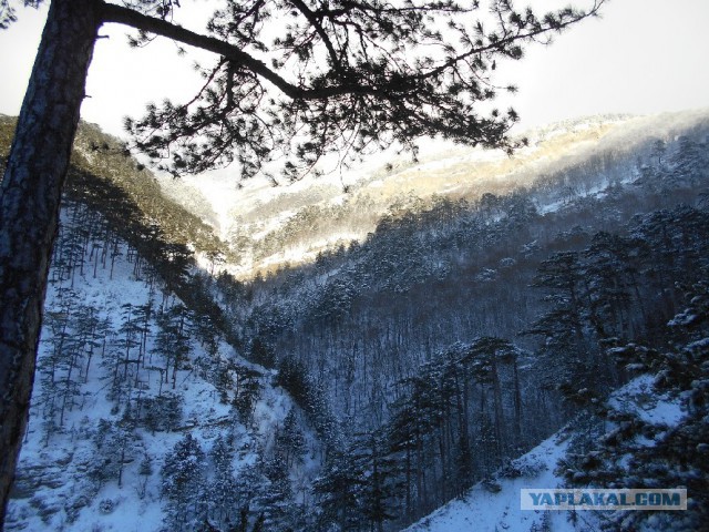И в Крыму бывает снег