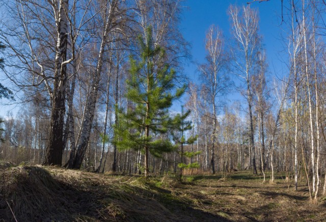 Деревенская Америка