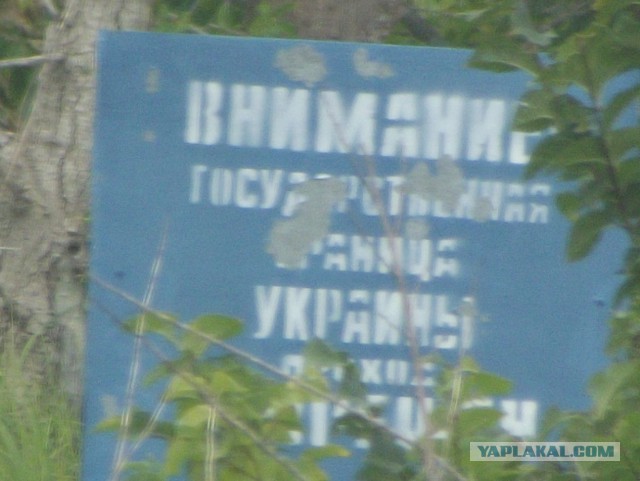 Украинская "Стена" год спустя