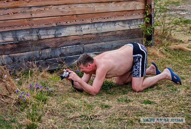 Жаба: Фотолюбитель