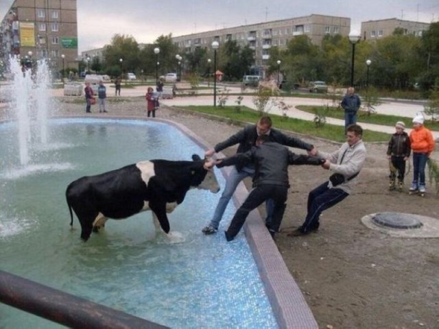 Ужасы и приколы из соцсетей 18+