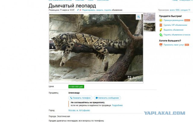 Картинки из сети (07.04.16)