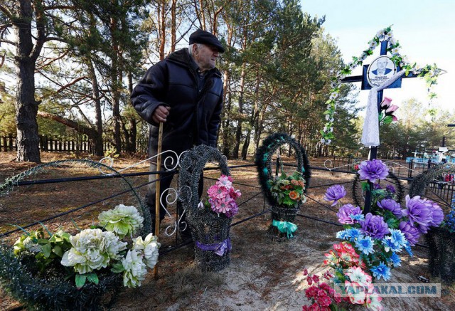 Чернобыльский долгожитель