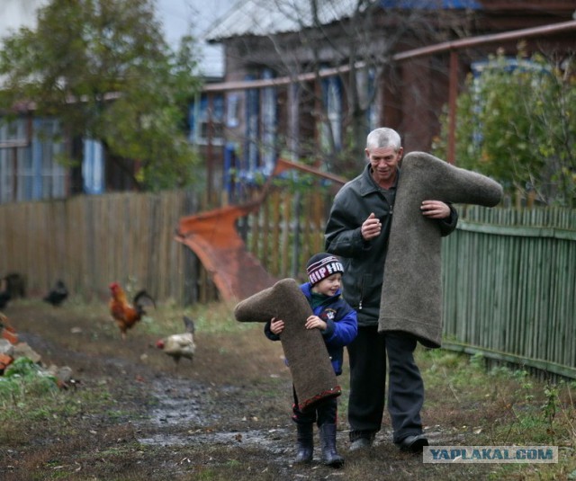Картинки на пятницу