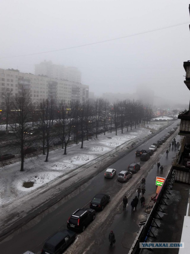 Пара слов о настоящем Питере