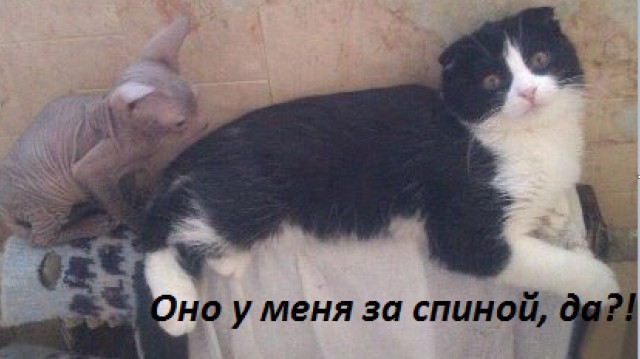 15 самых отвратительных животных, при виде которых вы обязательно скажите “Фууу”.