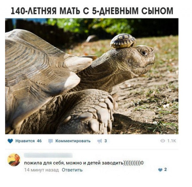 49 забавных картинок