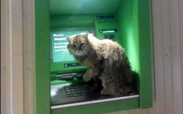 Картинки с просторов интернета