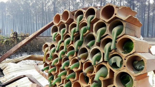 Фото, которые были созданы, чтобы сломать наш мозг
