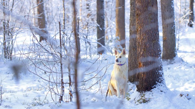 Просто Природа